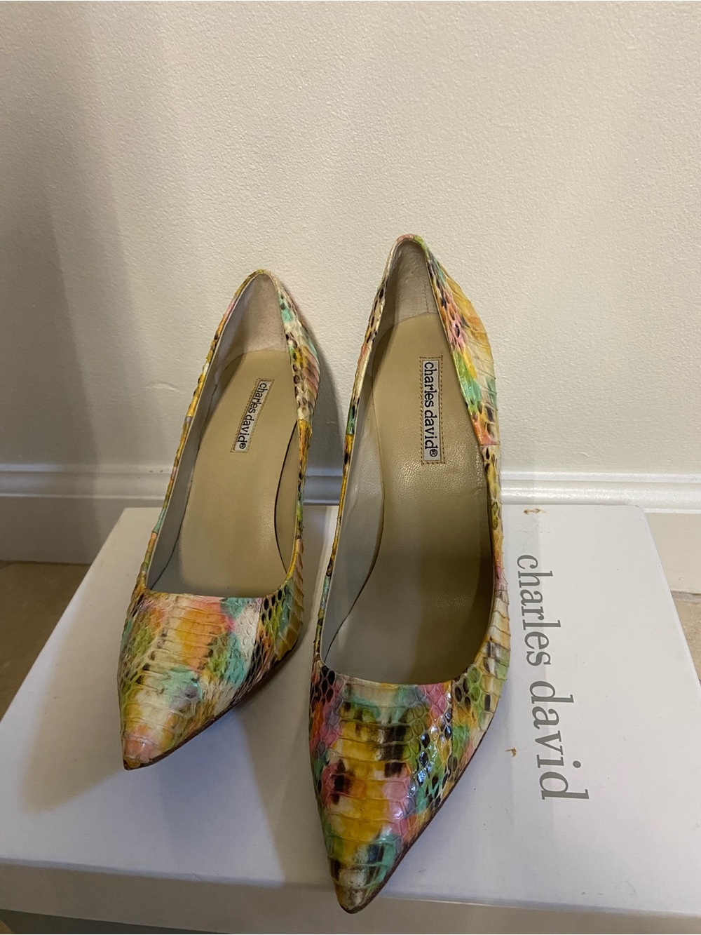 Charles David Rainbow Snakeskin Pointed-Toe Pumps